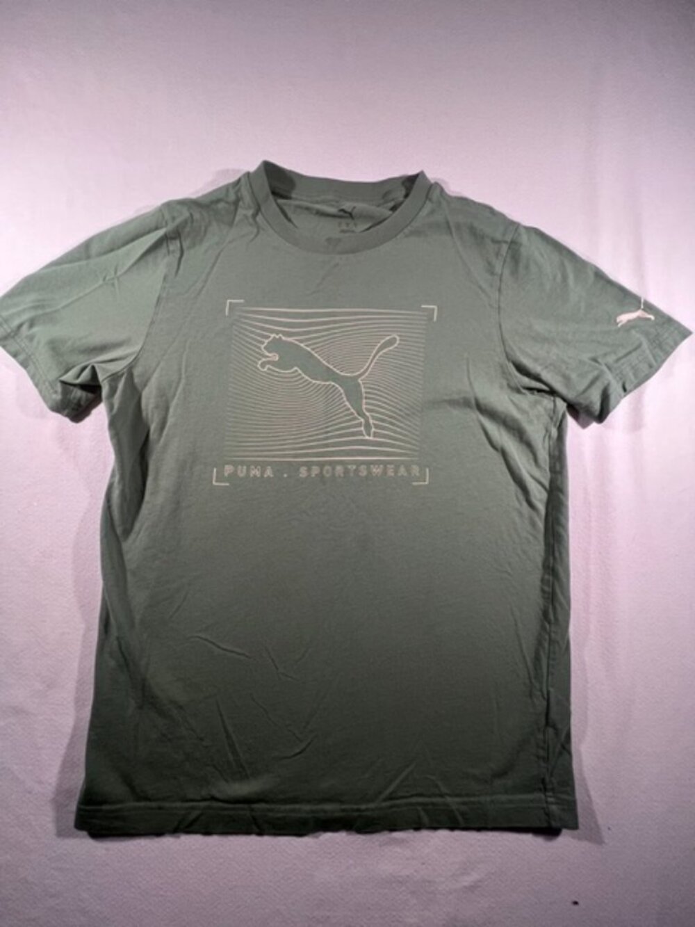 PUMA Men's Green T-Shirt Pattern Boxor Graphics‎ Wording Collection